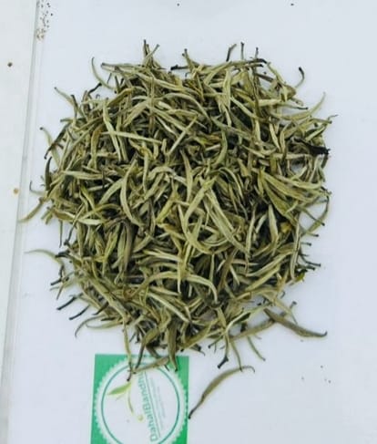 Silver Needle Tea